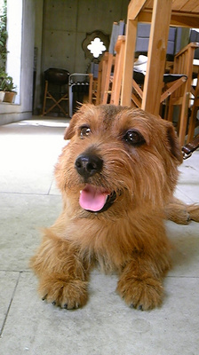 낤(20080803).jpg