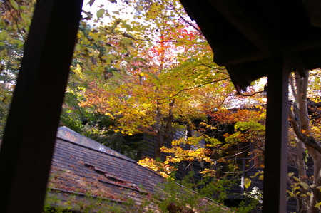 IMGP0697.JPG