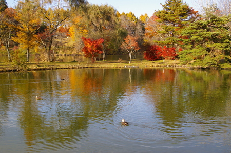 IMGP08443.JPG